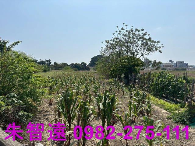 善化農地-4
