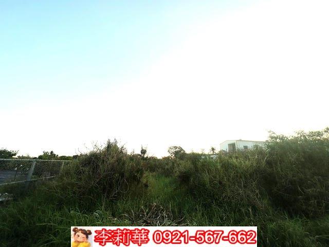 台南農地-7