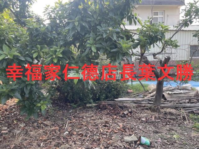 台南建地-11