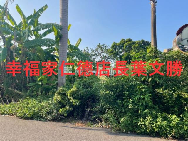 台南建地-1