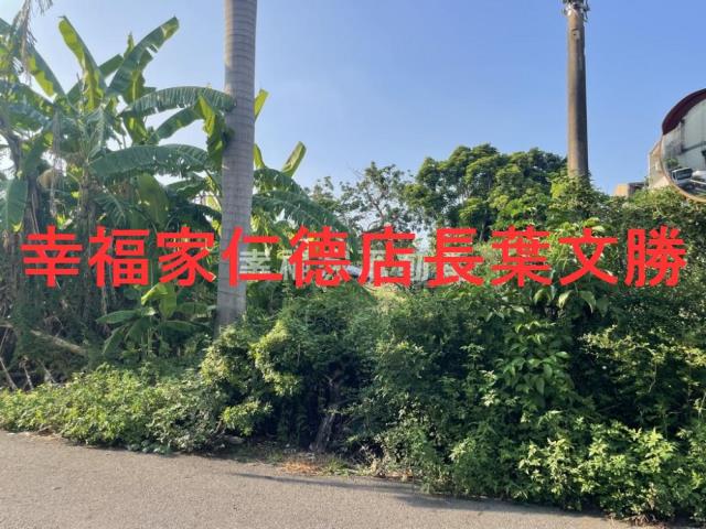 台南建地-2