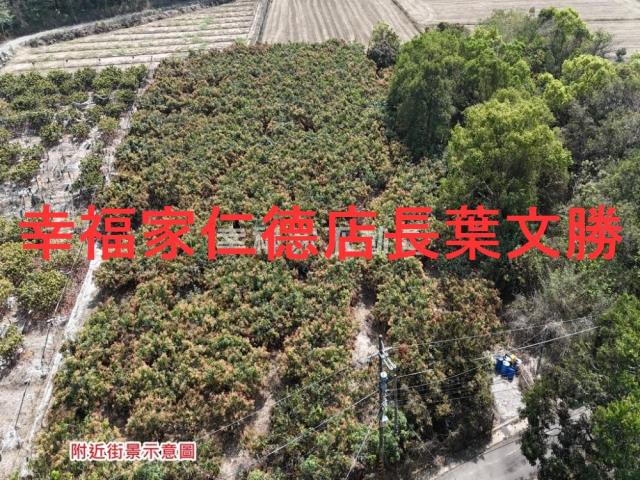 台南官田農地-10