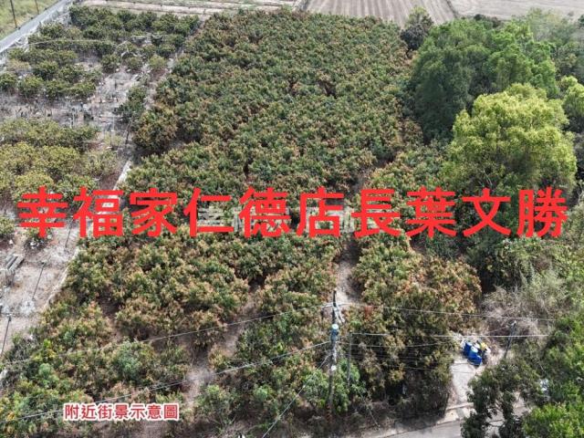 台南官田農地-12