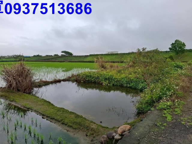 宜蘭宜蘭市農地-4