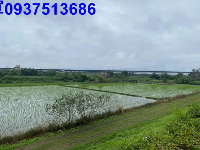 宜蘭宜蘭市農地-6