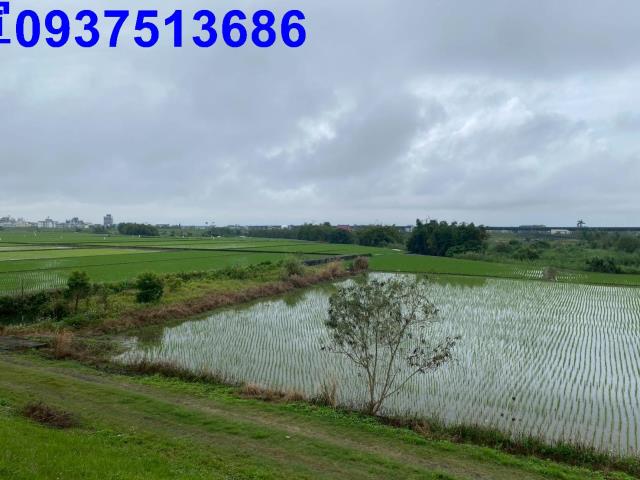 宜蘭宜蘭市農地-0