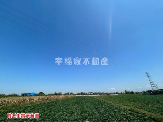 台南新化農地-13