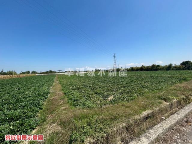 台南新化農地-5