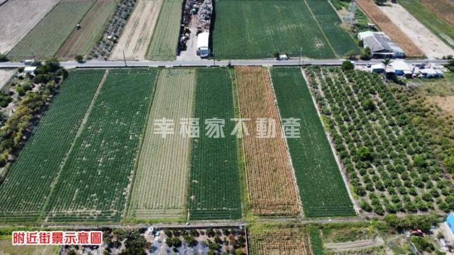 台南新化農地-7