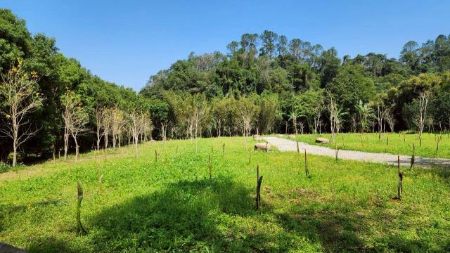 新竹橫山農地-11