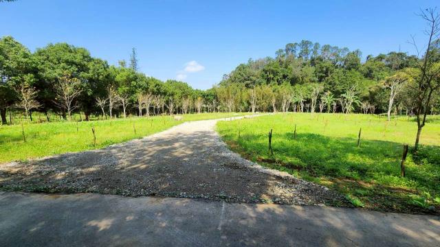 北埔低總價小坪數平坦農地