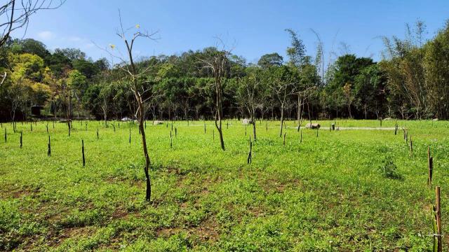 新竹橫山農地-2