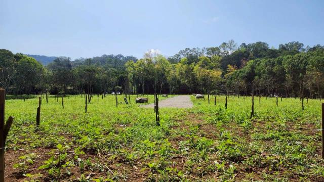新竹橫山農地-3