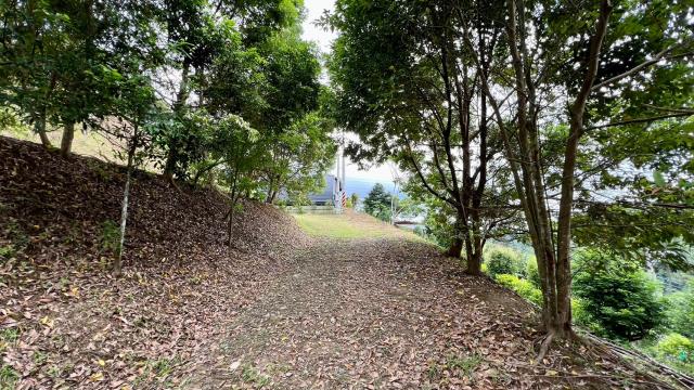 五峰花園美美農地