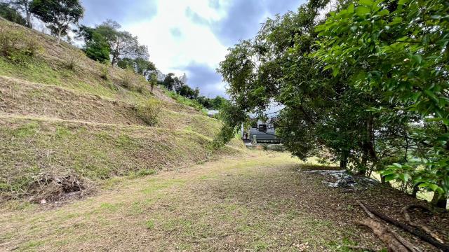 新竹北埔農地-5