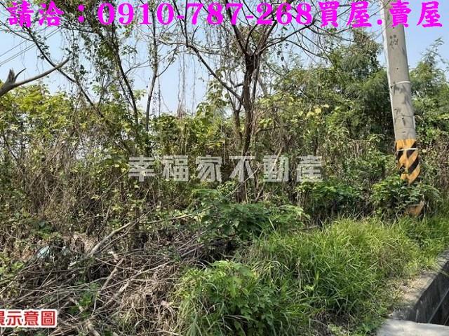 台南農地-9