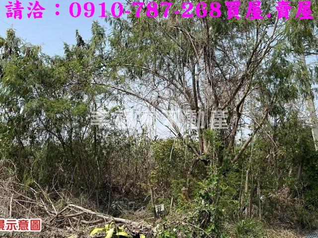 台南農地-13