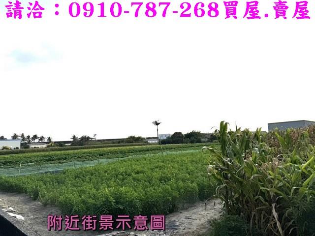 台南安定農地-14