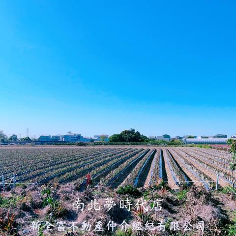 台南山上農地-5