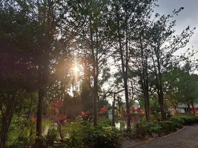 南投竹山農地-6