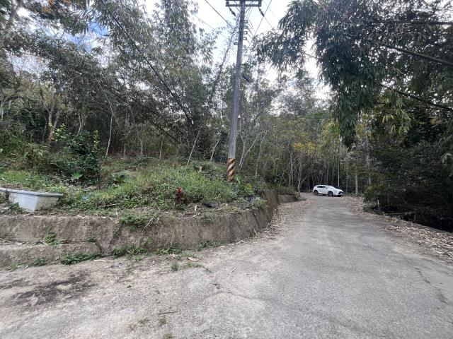 南投鹿谷農地-12