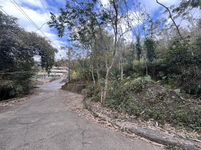 名間下埔巷茶園