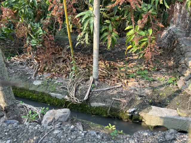 屏東鹽埔農地-7