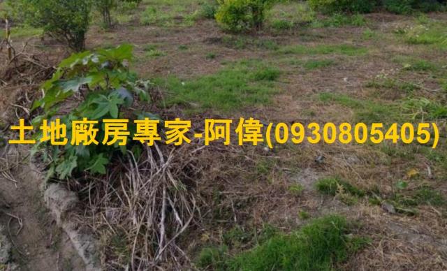 大寮農地-0