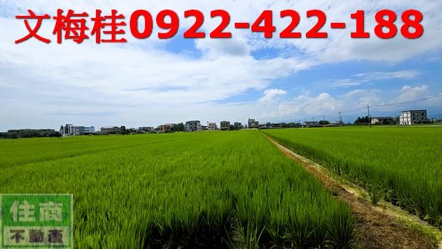 員山農地-0