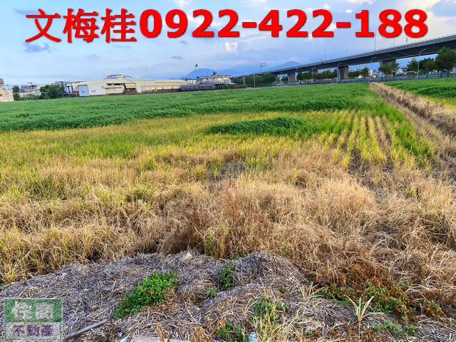 宜蘭羅東農地-3