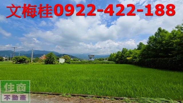 員山農地-4