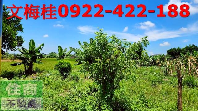 宜蘭農地-0