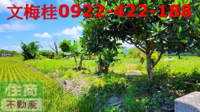 宜蘭農地-2