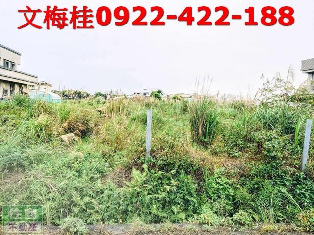 宜蘭宜蘭市農地-0