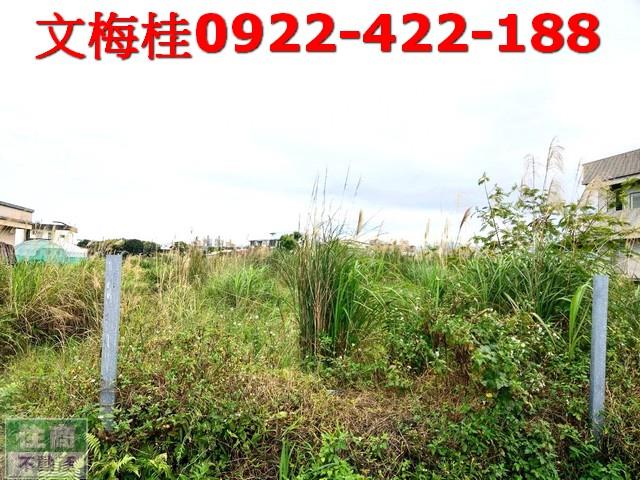 宜蘭宜蘭市農地-1