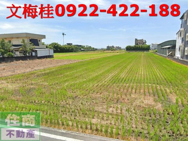 宜蘭壯圍農地-0