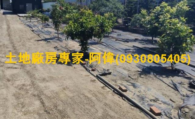 大寮農地-0