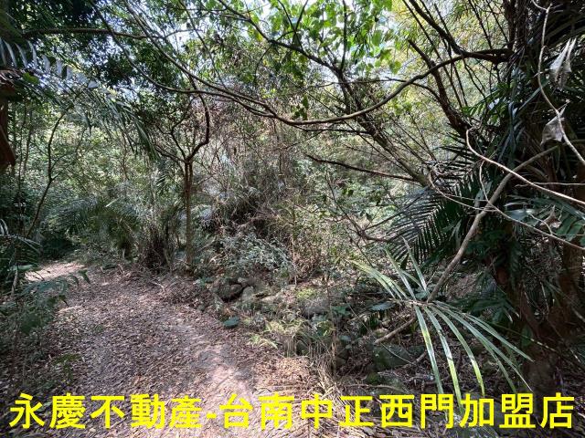 東山農地-9