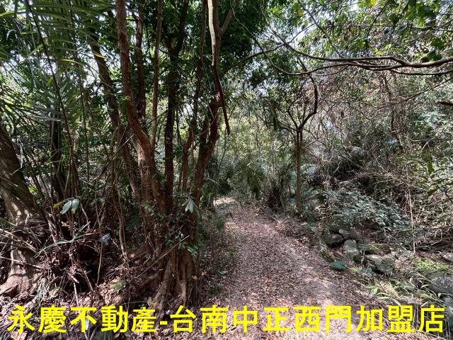 東山農地-10