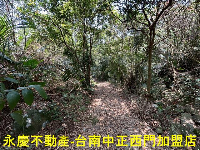 東山農地-11