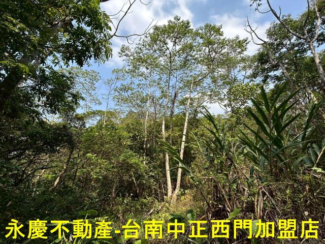 東山農地-3
