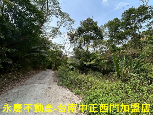 東山農地-6