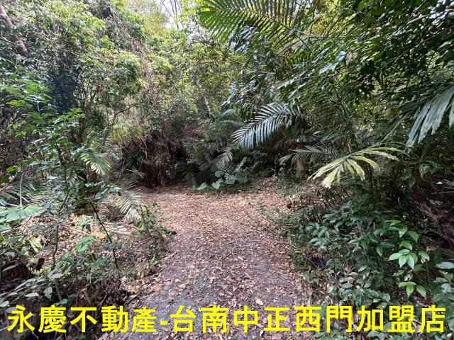 東山農地-7