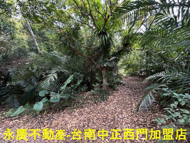 東山農地-8