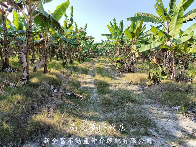 台南農地-0