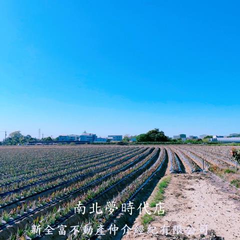 台南山上農地-5