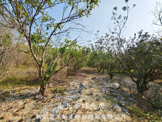 台南左鎮農地-9