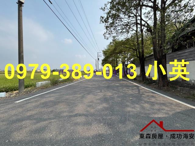 台南新市農地-9