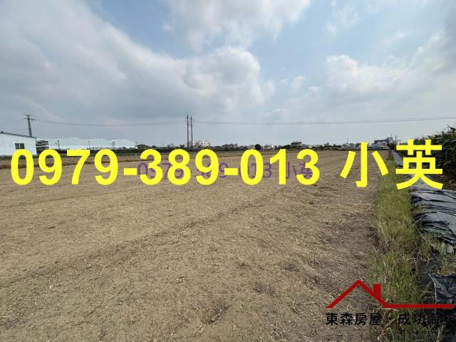 台南新市農地-0