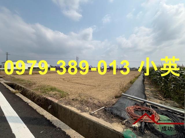 台南新市農地-4